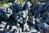 _DSC3987_s