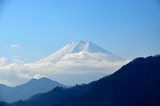 iwadonosan_10