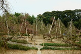_DSC0614