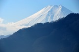 iwadonosan_04