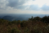 _DSC00430001