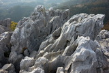 _DSC00860011
