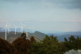 _DSC00650007