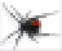 889