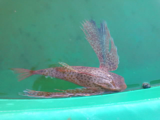 mini_111013_0635