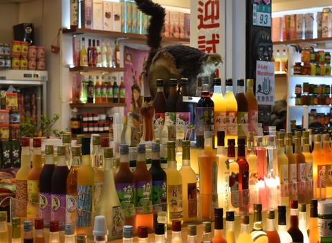 烏來商店街夜景2