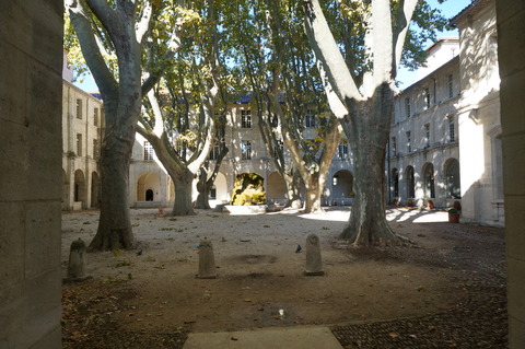 DSC01350