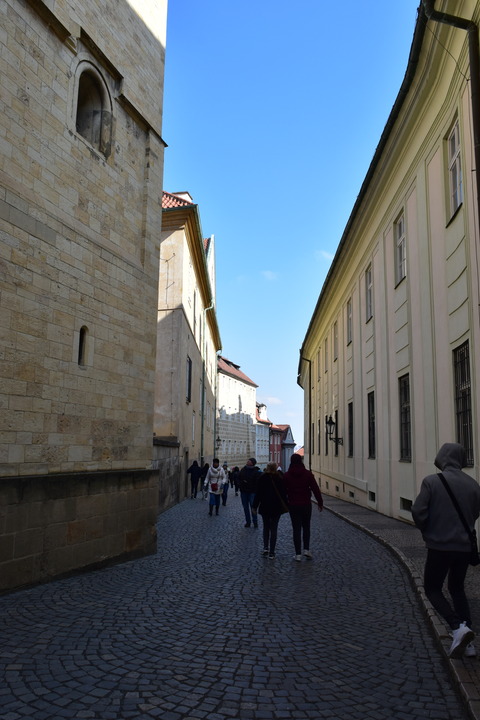 DSC_0053