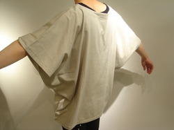 DSC08541