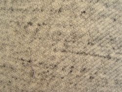 DSC06361
