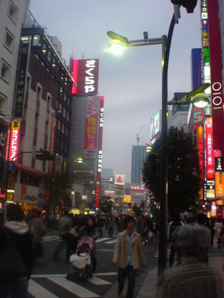 09481086.jpg