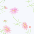 kosumosu6