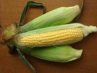 271926fa.jpg