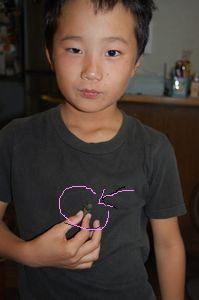 4f5e99bc.jpg