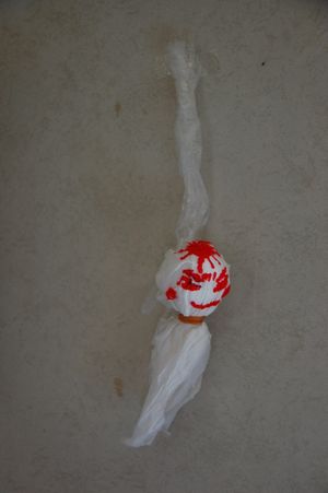 teruteru