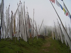 JPG