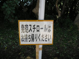 02e5817d.JPG