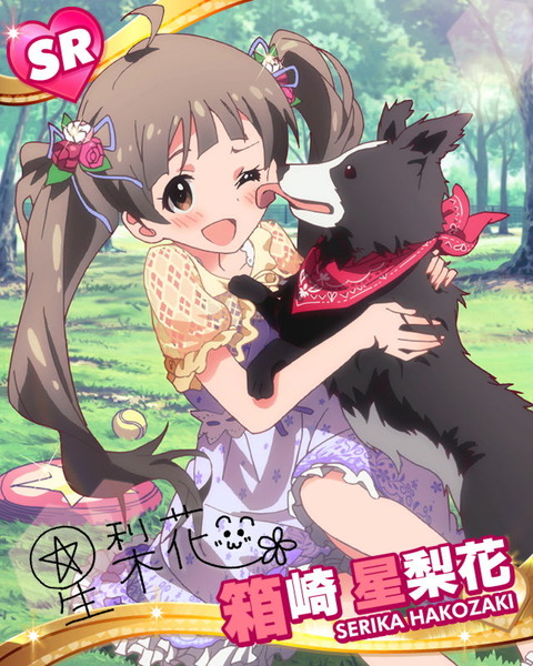 箱入り娘の休日 箱崎星梨花