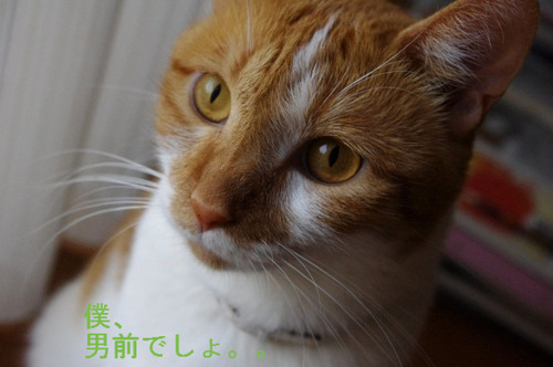 BlogPaint