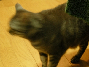 824b2030.jpg
