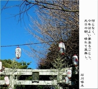 啄木