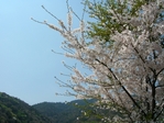 DSCN4676-64