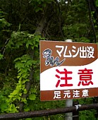 nature8