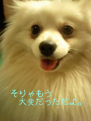 ¥³¥³¤Ã¤Á