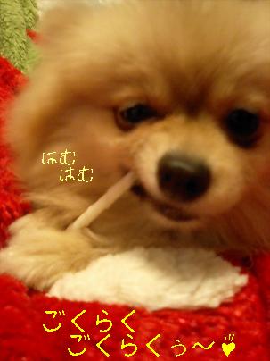 ¤Ï¤à¤Ï¤à¡£