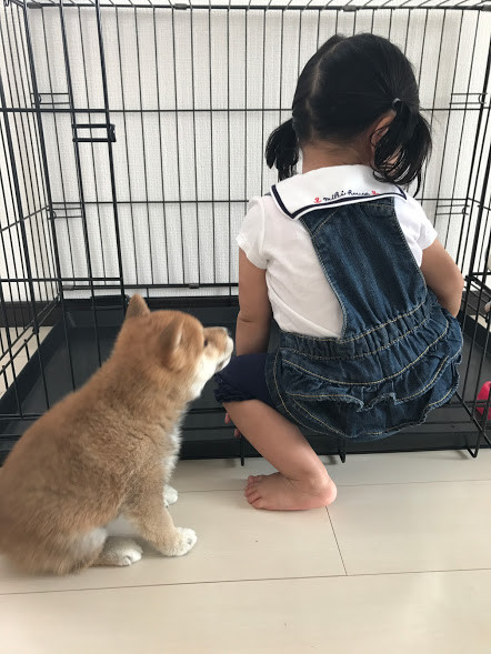 19ほのきなこ