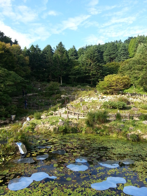 20150912_162801
