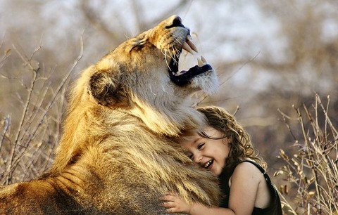 lion-3012515__480