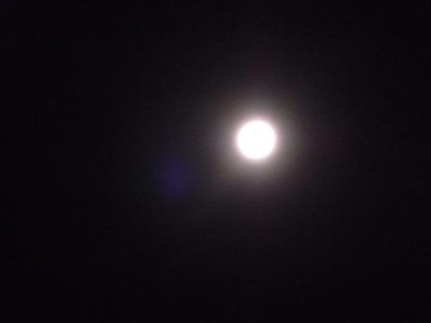 c0ff76f7.jpg