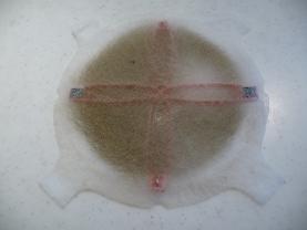 d6d20f77.jpg