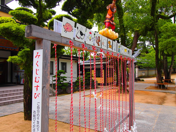 P5270259