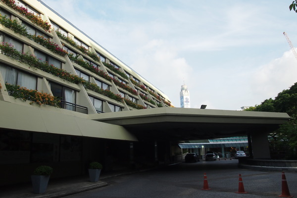 P8133386