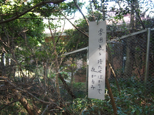 ●P9109344