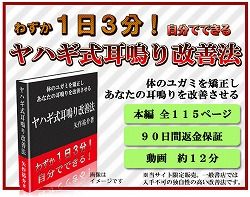 耳鳴り矢作11