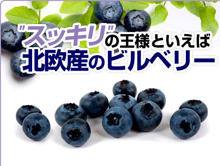 egao_biruvery