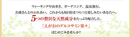 egao_grukosamin_index_5