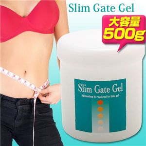 slim_gate_gel500