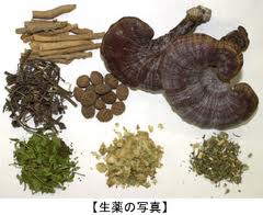 toyoigaku13