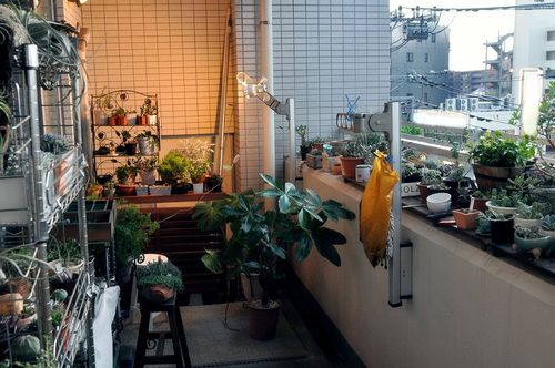 tablog_862