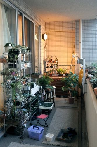 tablog_861