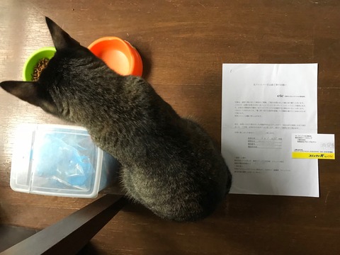 8F47BD6B-AD88-41A8-8959-8018BF34AB73