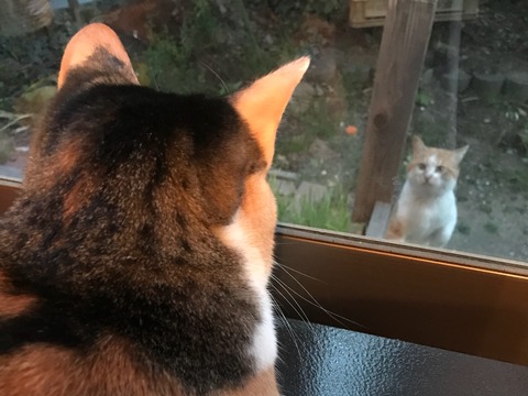 B507A427-F702-44D8-9FF9-C994AF3132F8