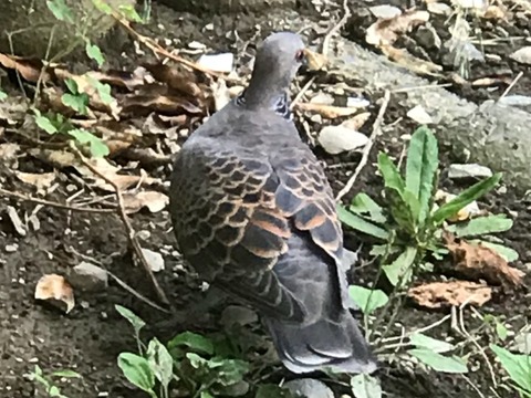 2E42B967-9220-4B7D-B1D3-CB4B8598D3B9