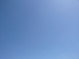 14d5c426.JPG