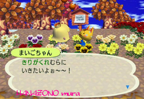 RUU_1205.JPG