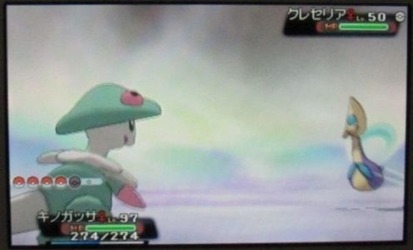 20150819¿§¥¯¥ì¥»¥ê¥¢